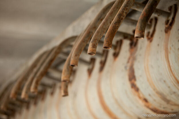 Anciennes glacières de Strasbourg