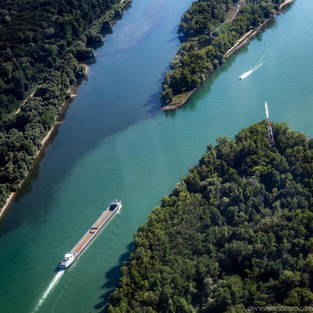 Le Rhin face à Kehl