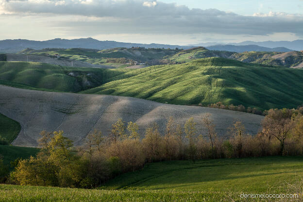 Crete Senesi