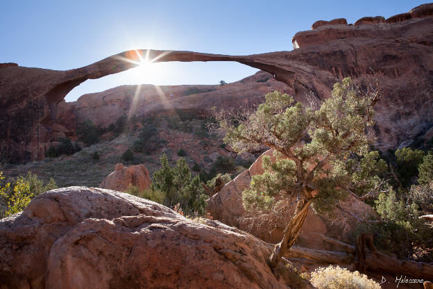 Arches National Park