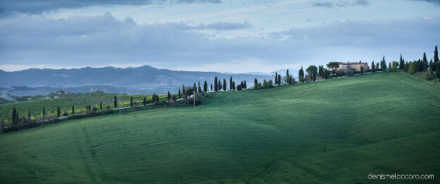 Crete Senesi