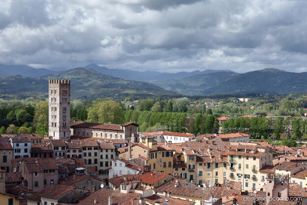Lucca