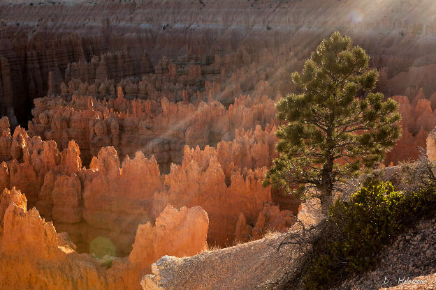 Bryce Canyon