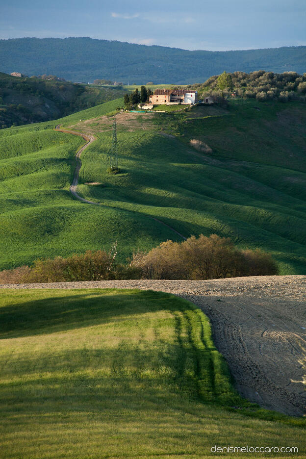 Crete Senesi